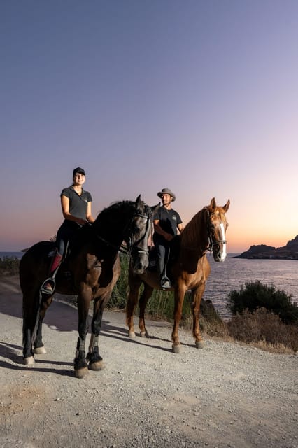 Crete Horse Riding: Mesmerising Sunset Ride - Riding through Crete’s olive groves