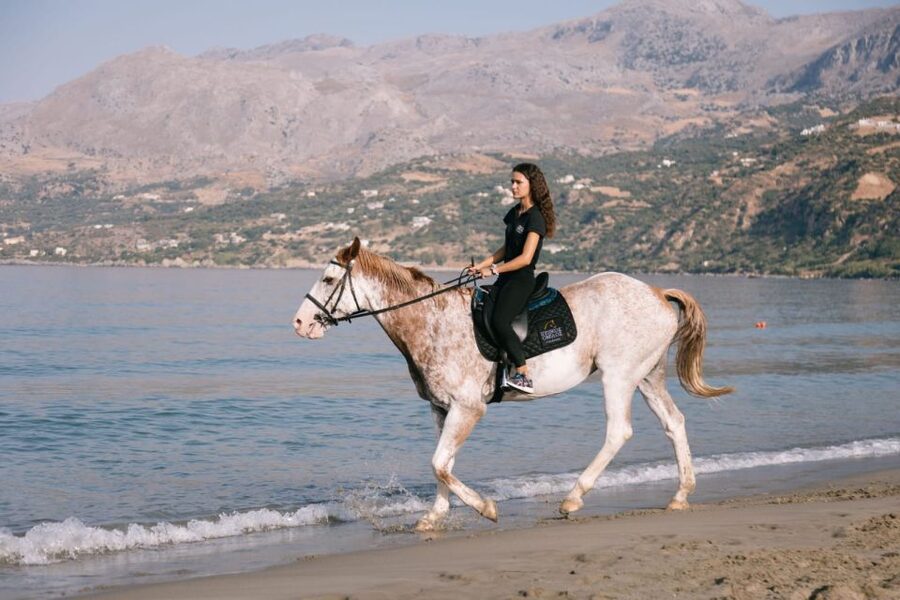 Crete Horse Riding: Plakias Beach Ride - Horses, equipment, and safety