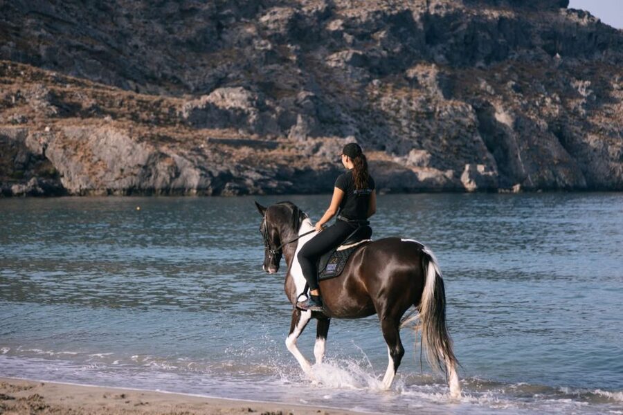 Crete Horse Riding: Plakias Beach Ride - Is $153 fair for two hours?