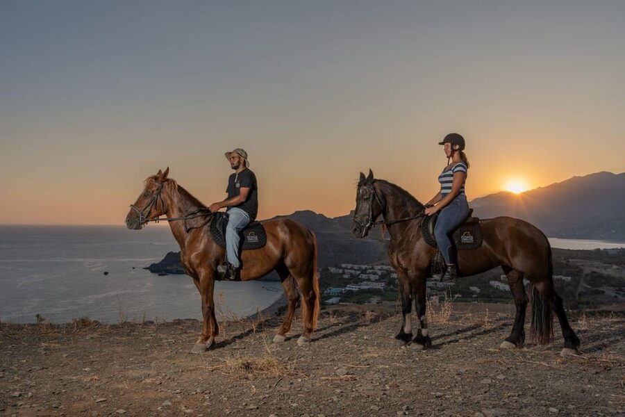 Crete Horse Riding: Saint Paisios Hill Trip - At a glance