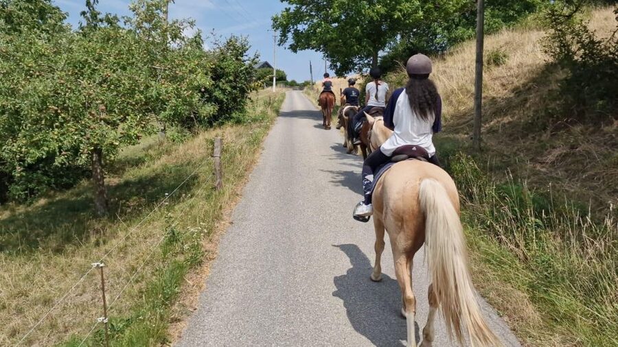 Cruseilles: Horseback Riding in the Countryside - Key points to know before you book