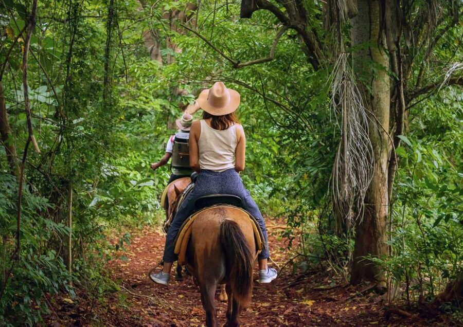 Cruseilles: Horseback Riding in the Countryside - Setting out from Ecurie des Goths near Cruseilles