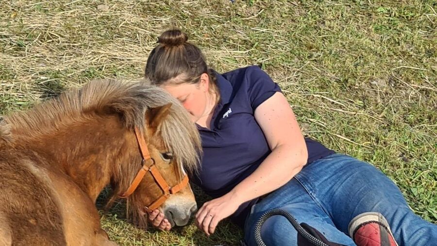Cruseilles: Horseback Riding in the Countryside - What the pace feels like for beginners