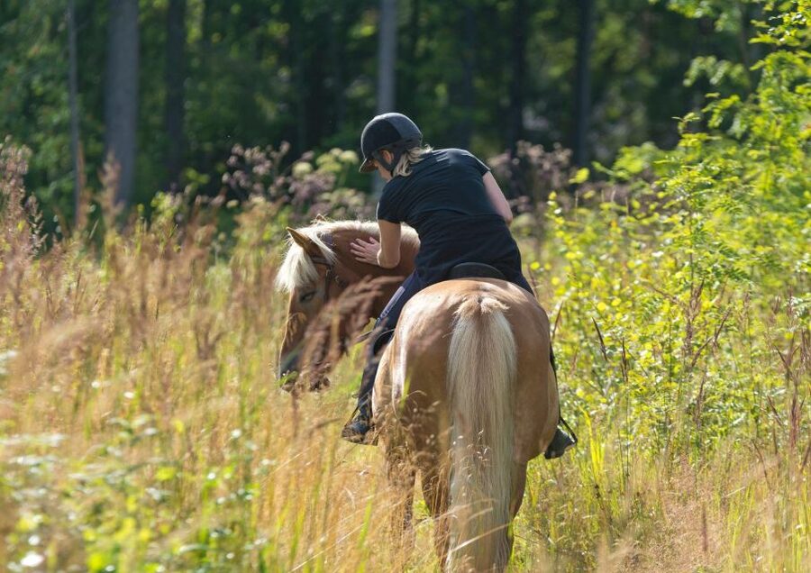 Cruseilles: Horseback Riding in the Countryside - Stories, animals, and the character of the ride