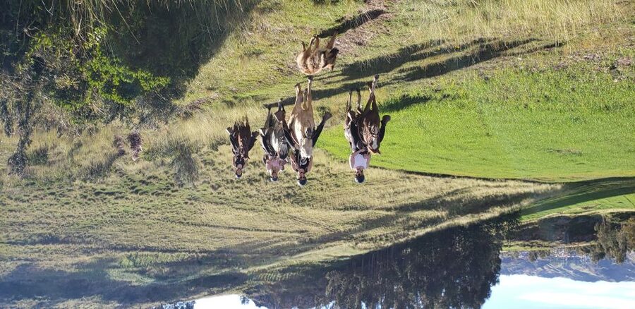 Cusco: Hidden Incan Temples Full-Day Horseback Riding Tour - Inkilltambo, an old checkpoint in the hills