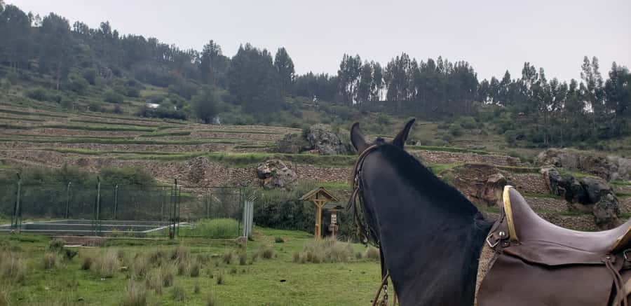 Cusco: Hidden Incan Temples Full-Day Horseback Riding Tour - Pickup from central Cusco and the ride to the ranch