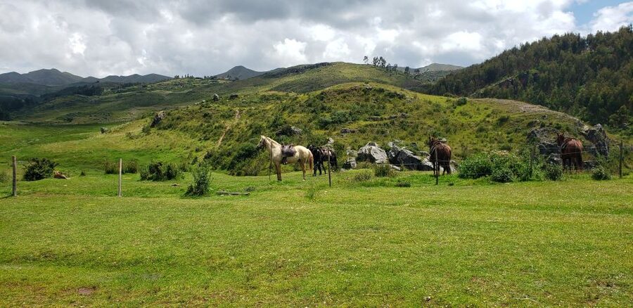 Cusco: Sacsayhuaman Guided Tour and 1-Hour Horseback Ride - One hour on horseback in the Sacsayhuaman National Park
