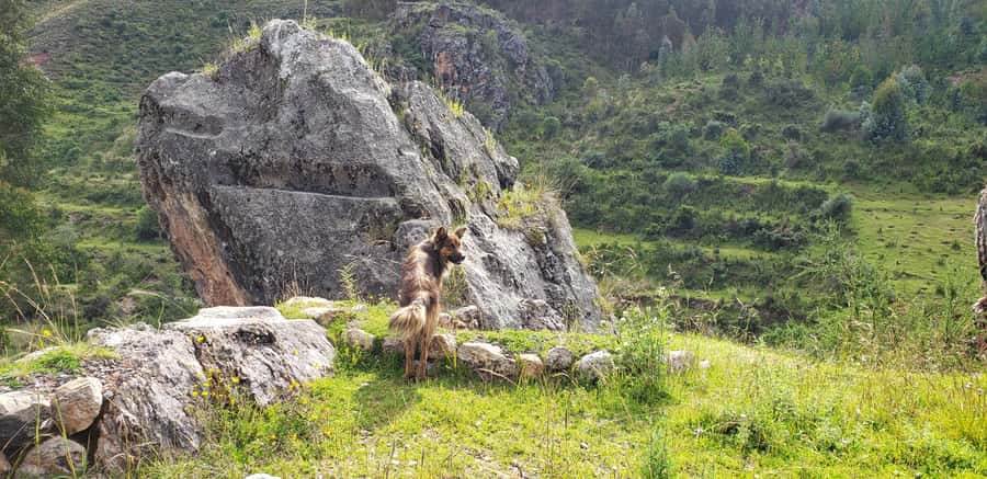 Cusco: Sacsayhuaman Guided Tour and 1-Hour Horseback Ride - Tambomachay and Pucapukara add useful context