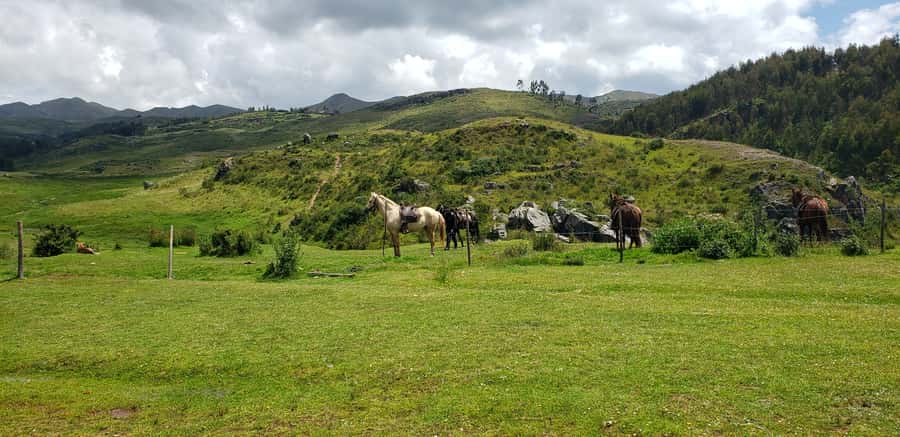 Cusco: Sacsayhuaman Guided Tour and 1-Hour Horseback Ride - What to bring and how to prepare