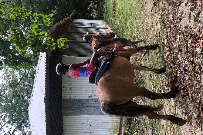 Customize Day Tour In Ochi (Horseback Riding,Rafting,Blue Hole, Dunns River ) - Why a private ride from Negril makes sense