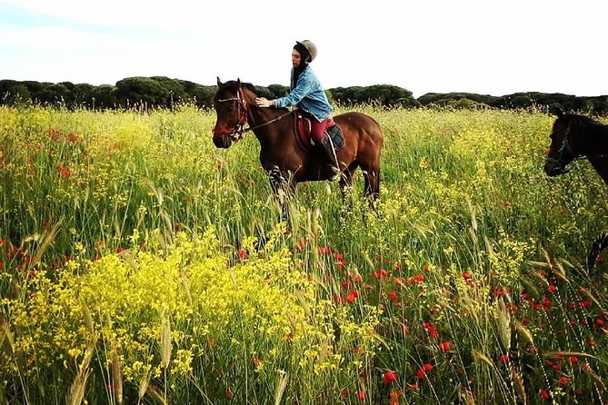 Daily out of Rome : Horseback ride with meals & wine included - Riding the Simbruini mountain trails