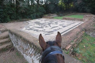 Daily out of Rome : Horseback ride with meals & wine included