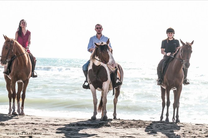 Daily out of Rome : Horseback ride with meals & wine included - How much value do you get for $325.60?