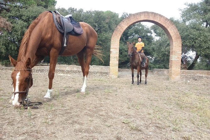 Daily out of Rome : Horseback ride with meals & wine included - Who will enjoy this horseback outing?