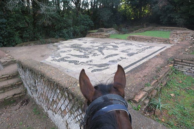 Daily out of Rome : Horseback ride with meals & wine included - Grooming the horses before the trail