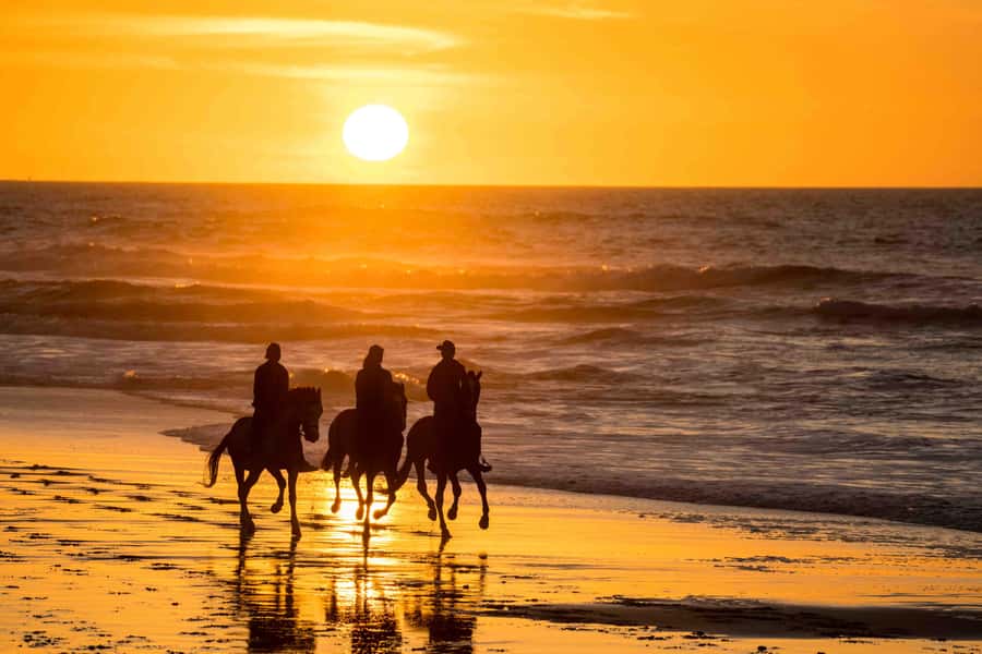 Dakhla: Horseback Riding Tour - Key points to know before booking