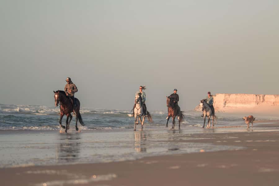 Dakhla: Horseback Riding Tour - What the ride is like for beginners and experienced riders