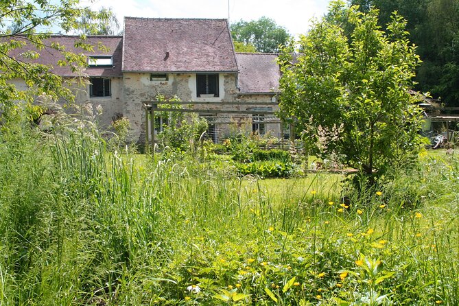 Day Trip from Paris - French Food, Rural Experiences & Horses! - Meeting the horses in the paddock
