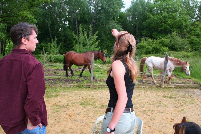 Day Trip from Paris - French Food, Rural Experiences & Horses! - Four hours that feel unlike a Paris tour