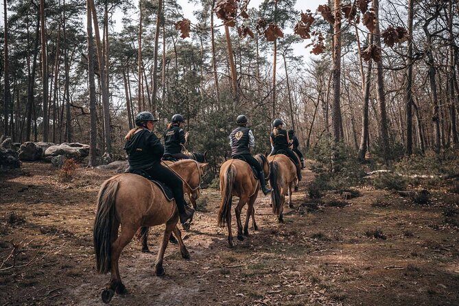 Day Trip to Fontainebleau : Horse Riding, Gastronomy and Castle - Lunch, wine, and a slower middle of the day