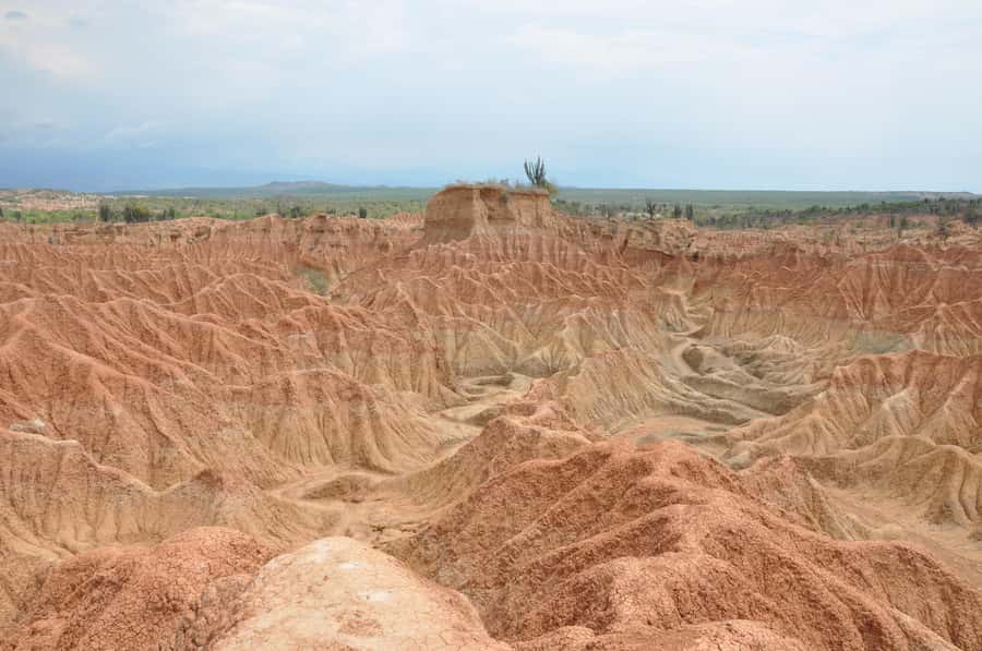 Day Trip to Tatacoa Desert (Horseback, Boat, Stargazing, ..) - Cuzco viewpoint and cactus wine after dark