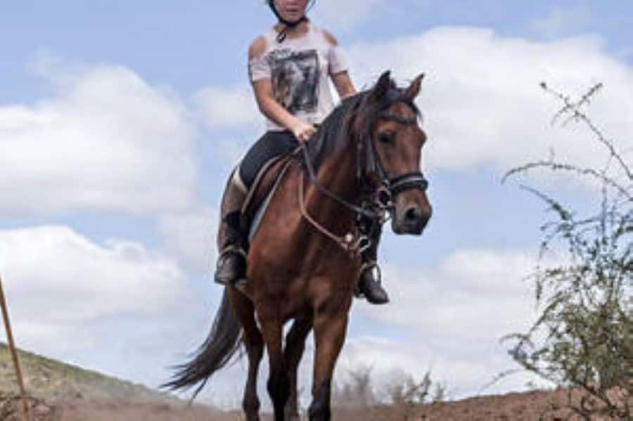 De Rust: Stompdrift Trail - Horse Riding Experience - Key points to know before you ride