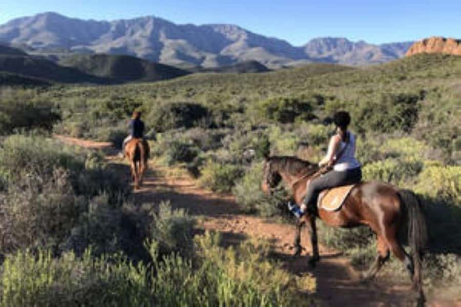 De Rust: Stompdrift Trail - Horse Riding Experience - A guide who adds more than directions