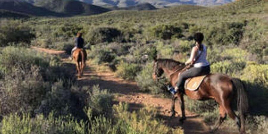 De Rust: Stompdrift Trail - Horse Riding Experience - The pace: trotting, cantering, and open-country riding