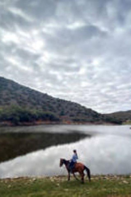 De Rust: Stompdrift Trail - Horse Riding Experience - Who should book this ride?