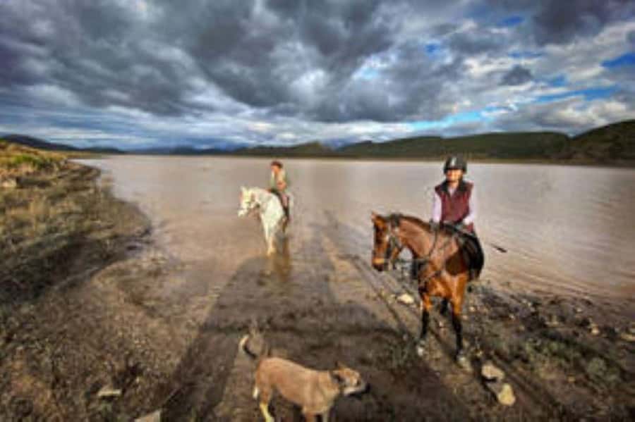 De Rust: Stompdrift Trail - Horse Riding Experience - What makes the young horses special