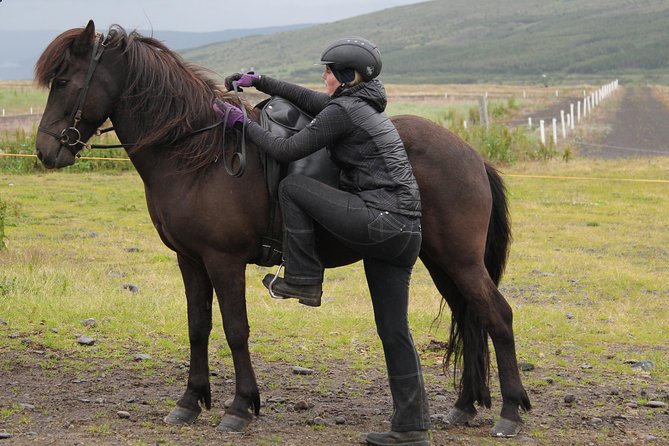 Deacon Horse Riding Tour - Key details before you saddle up