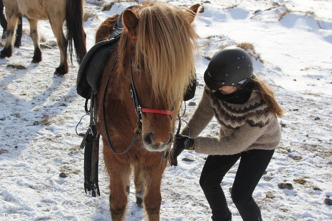 Deacon Horse Riding Tour - A two-hour ride from Ytri-Bægisá