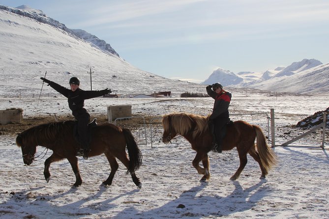Deacon Horse Riding Tour - From the pen to the countryside