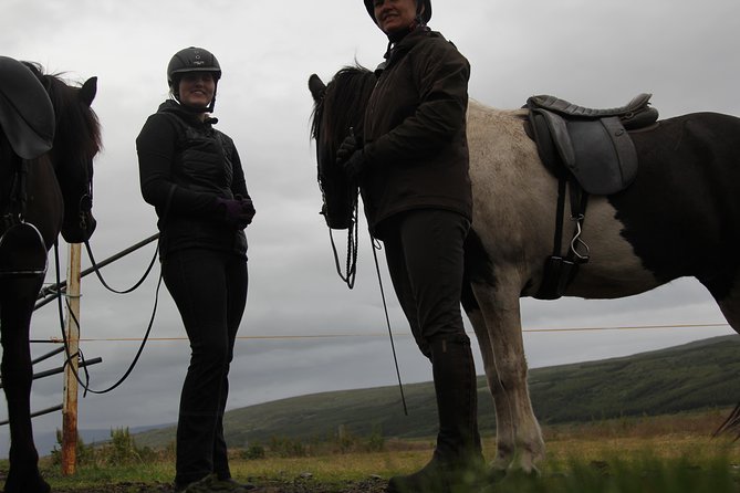 Deacon Horse Riding Tour - Trying the tölt