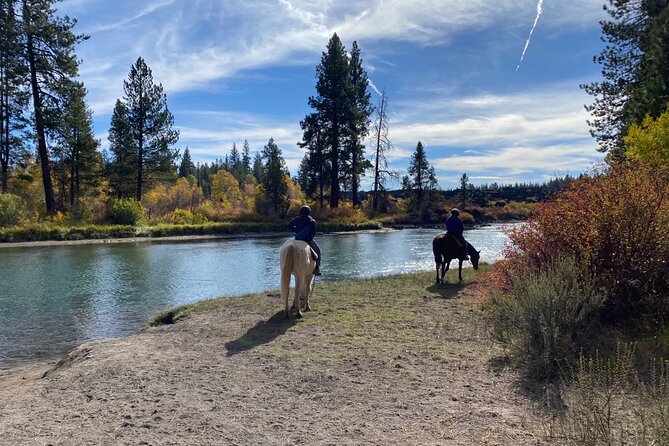 Deschutes River Horse Ride - Riding the Deschutes River through Ponderosa shade