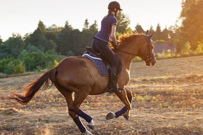 Desert Horse Riding- 1 Hour - Key points to know before you book