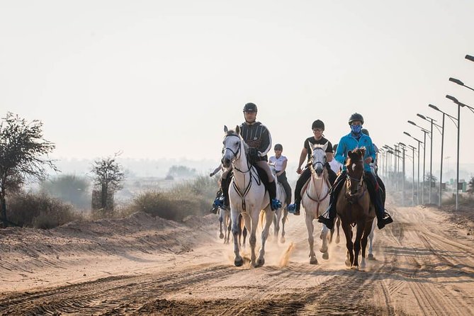 Desert Horse Riding- 1 Hour - What happens before you mount