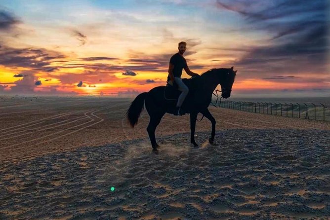 Desert Horse Riding Experience in Dubai - What the Dubai desert ride is really like
