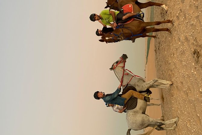 Desert Horse Riding Experience in Dubai - Riding the dunes and open plains for one hour
