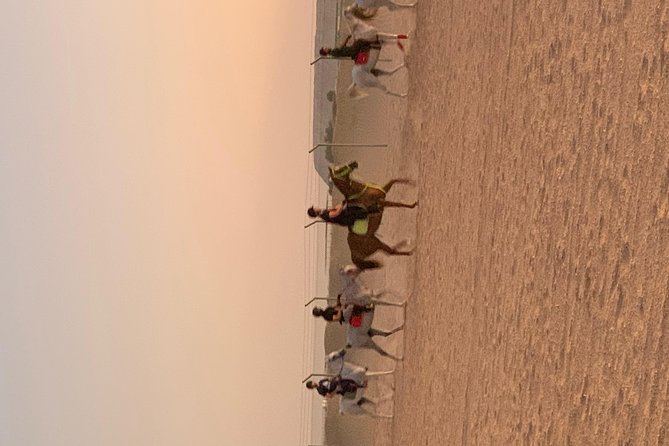 Desert Horse Riding Experience in Dubai - Refreshments, photos, and the human touch