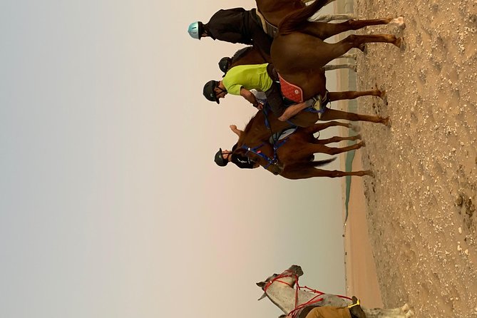 Desert Horse Riding Experience in Dubai - Is $68.77 good value?