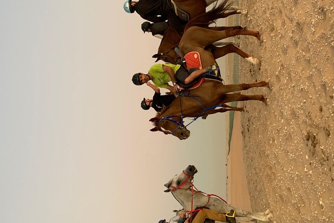 Desert Horse Riding Experience in Dubai - Who will enjoy this ride most?