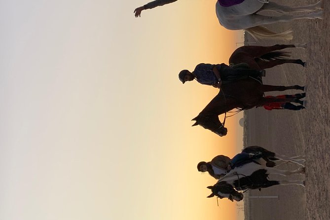 Desert Horse Riding Experience in Dubai - Starting at Sahara Stables in Al Ruwwayah