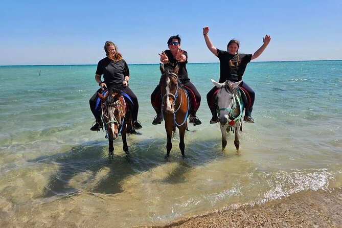 Desert & Sea Adventure – 3-Hour Horse or Camel Riding Experience - Key points before you book
