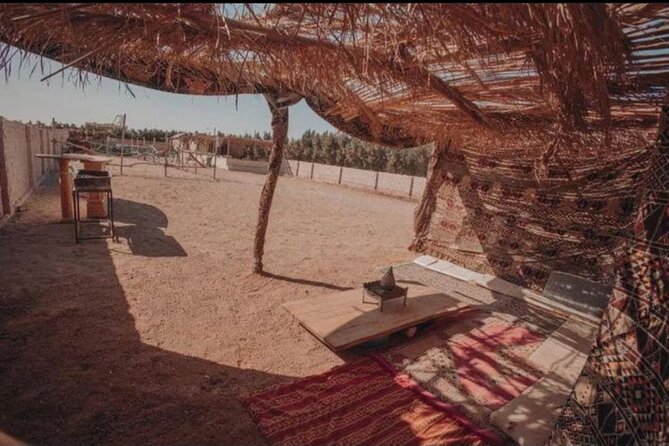 Desert & Sea Adventure – 3-Hour Horse or Camel Riding Experience - Crossing the golden desert