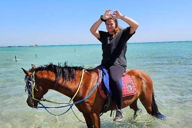 Desert & Sea Adventure – 3-Hour Horse or Camel Riding Experience - Entering the Red Sea on horseback or camelback