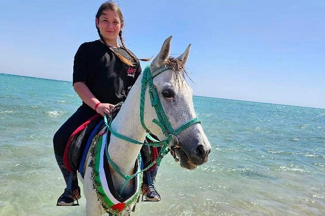 Desert & Sea Adventure – 3-Hour Horse or Camel Riding Experience - How the three hours may feel