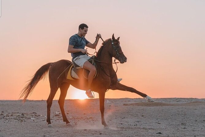 Desert & Sea Adventure – 3-Hour Horse or Camel Riding Experience - Group size and personal attention