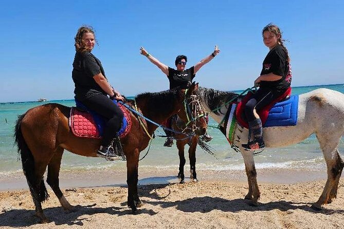 Desert & Sea Adventure – 3-Hour Horse or Camel Riding Experience - Choosing a horse or camel