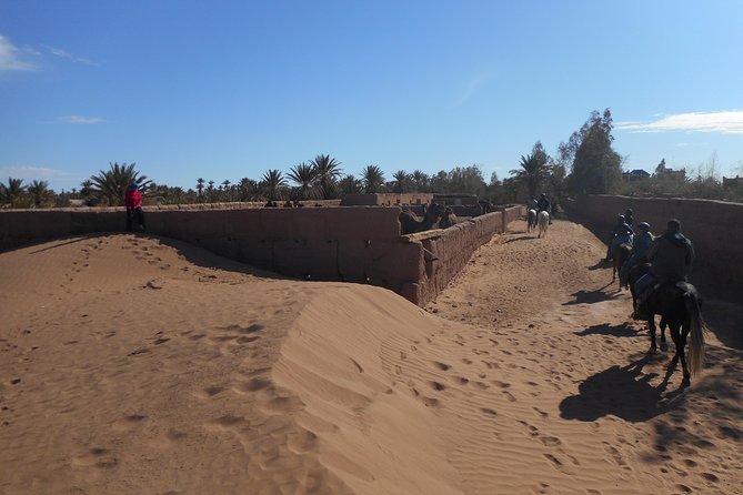Desert Trail in Morocco on Horseback - Day 6: Final gallops and the return to Zagora